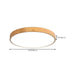 Mila Round Flush Mount Ceiling Lamp - DWHOME
