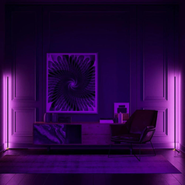 Minimalist LED Floor Lamp-DWHOME