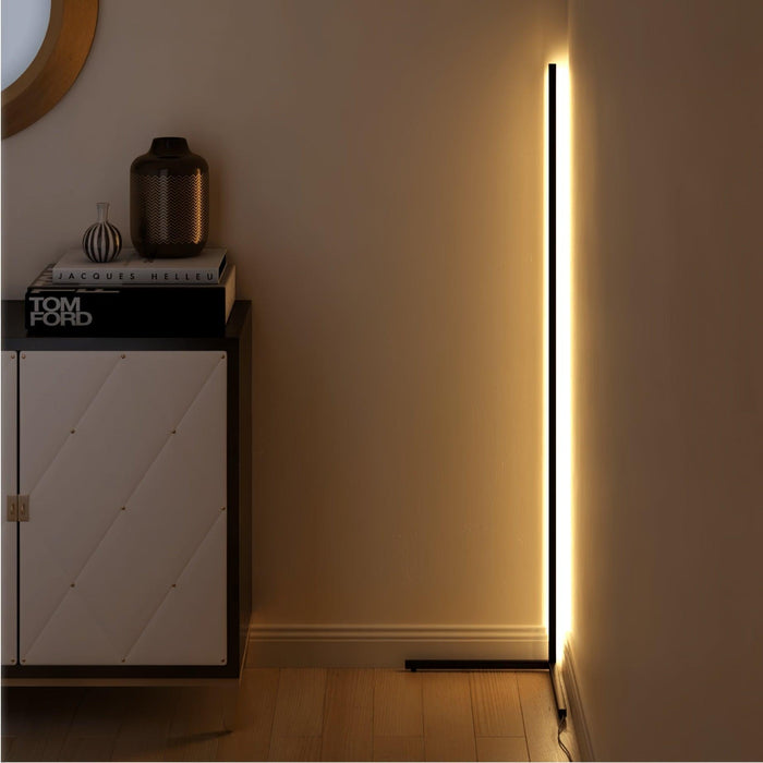 Minimalist LED Floor Lamp-DWHOME
