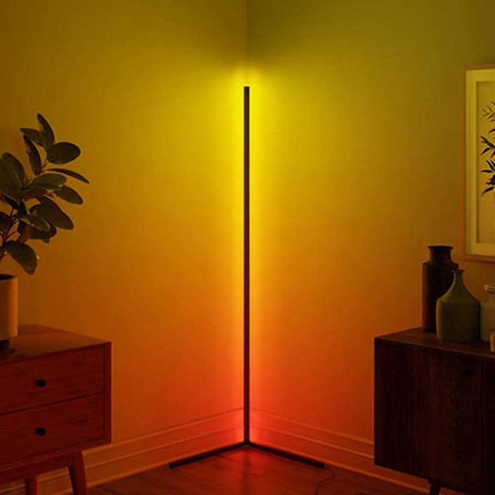Minimalist LED Floor Lamp-DWHOME