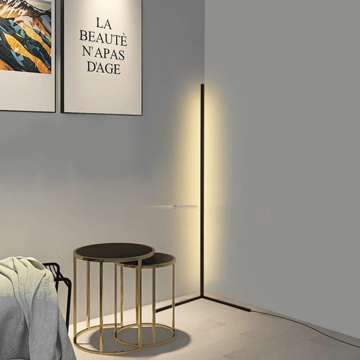 Minimalist LED Floor Lamp-DWHOME