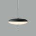 Model 2065 Pendant Lamp - DWHOME