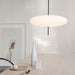 Model 2065 Pendant Lamp - DWHOME
