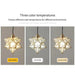 Modern Moravian Star Chandelier - DWHOME