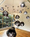 Modern Lava Pendant Lamp-DWHOME