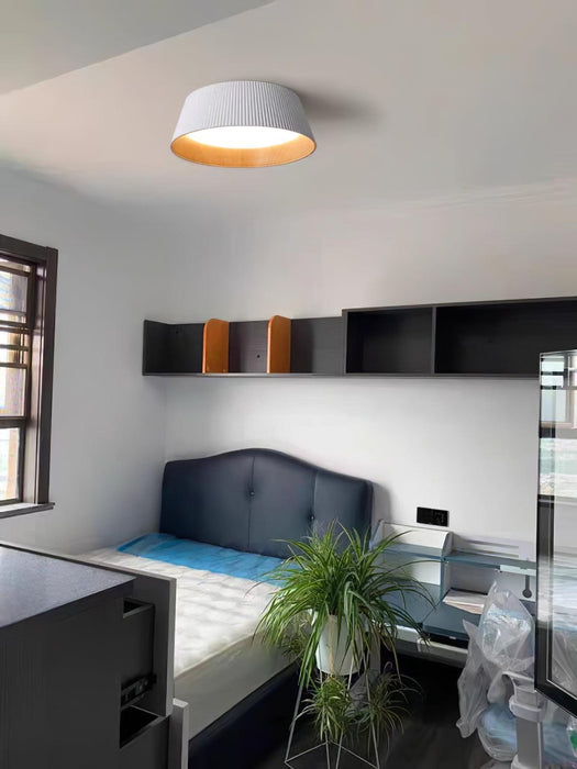 Modern Ribbed Ceiling Light-DWHOME