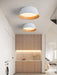 Modern Ribbed Ceiling Light-DWHOME