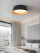 Modern Ribbed Ceiling Light-DWHOME