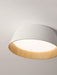 Modern Ribbed Ceiling Light-DWHOME