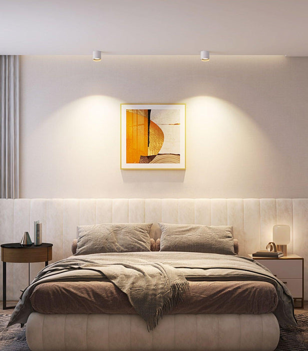 Modupoint Ceiling Light-DWHOME