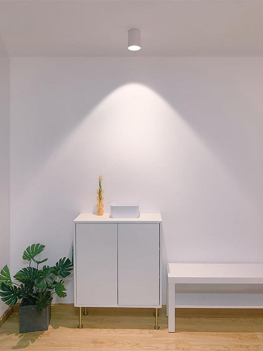 Modupoint Ceiling Light-DWHOME