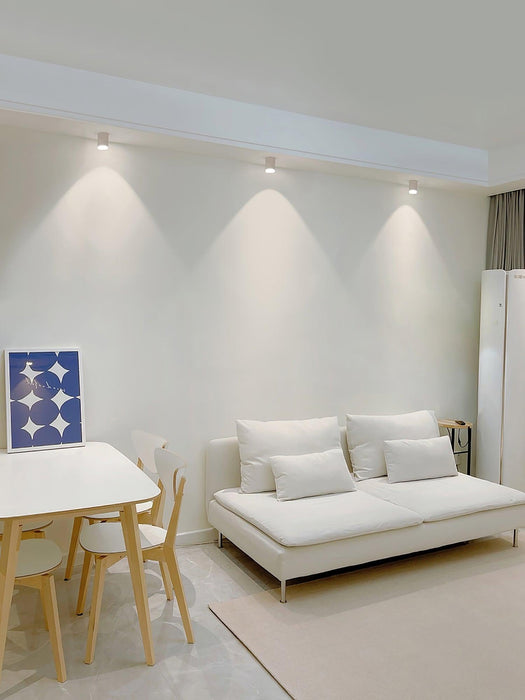 Modupoint Ceiling Light-DWHOME