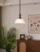 Monet Pendant Lamp-DWHOME