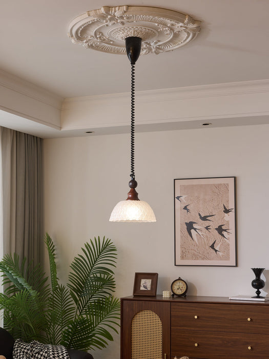 Monet Pendant Lamp-DWHOME