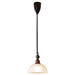 Monet Pendant Lamp-DWHOME