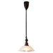 Monet Pendant Lamp-DWHOME