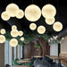 Moon Pendant Lamp-DWHOME