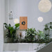 Moon Pendant Lamp-DWHOME