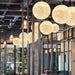 Moon Pendant Lamp-DWHOME