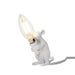 Mouse Table Light-DWHOME