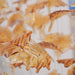 Multicolor Crystal Maple Leaf Chandelier - DWHOME