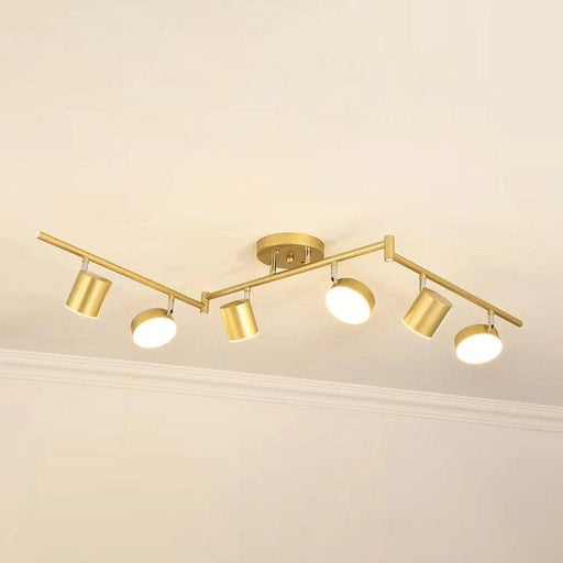 Track Light Ceiling Light-DWHOME