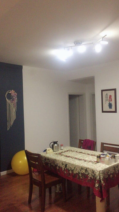 Track Light Ceiling Light - DWHOME