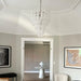 Vintage Transparent Murano Glass Petals Drop Chandelier-DWHOME