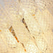 Murano Glass Dewdrop Chandelier-DWHOME