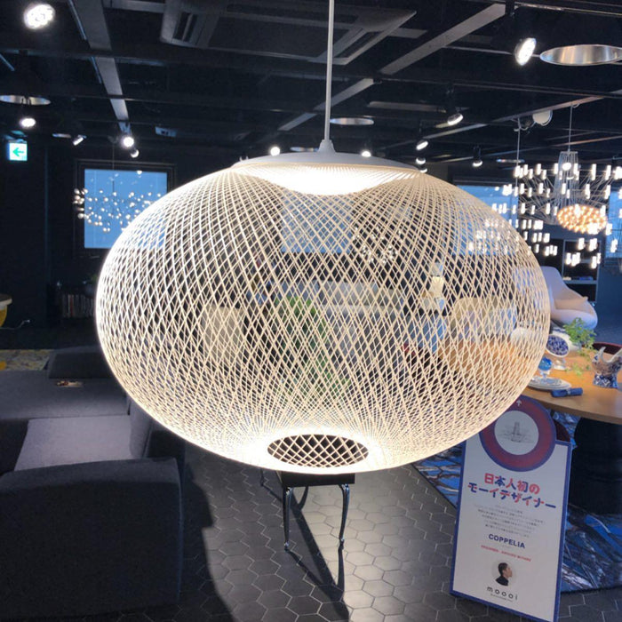 Metallic Meshwork Pendant Lamp-DWHOME