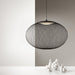 Metallic Meshwork Pendant Lamp-DWHOME