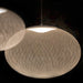 Metallic Meshwork Pendant Lamp-DWHOME