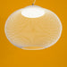 Metallic Meshwork Pendant Lamp-DWHOME