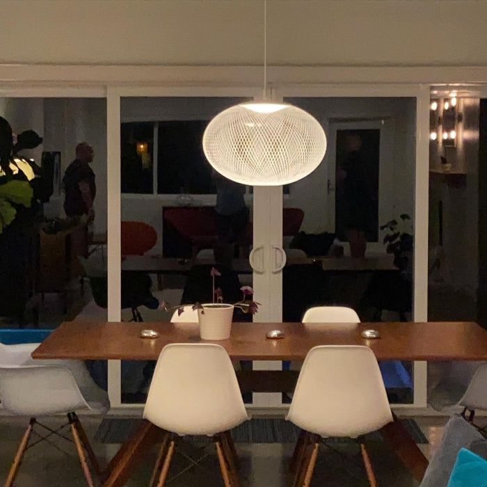 Metallic Meshwork Pendant Lamp-DWHOME