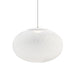 Metallic Meshwork Pendant Lamp-DWHOME