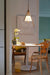 Nanzhi Wood Pendant Lamp-DWHOME