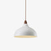 Natural Rustic Pendant Lamp-DWHOME