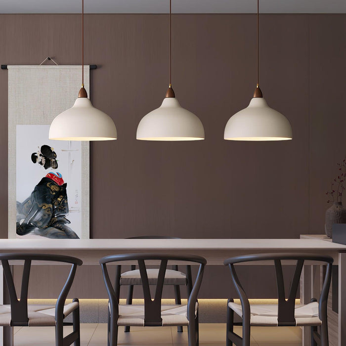 Natural Rustic Pendant Lamp-DWHOME