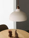 Natural Rustic Pendant Lamp-DWHOME