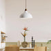 Natural Rustic Pendant Lamp-DWHOME