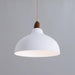 Natural Rustic Pendant Lamp-DWHOME