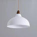 Natural Rustic Pendant Lamp-DWHOME