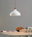 Natural Rustic Pendant Lamp-DWHOME