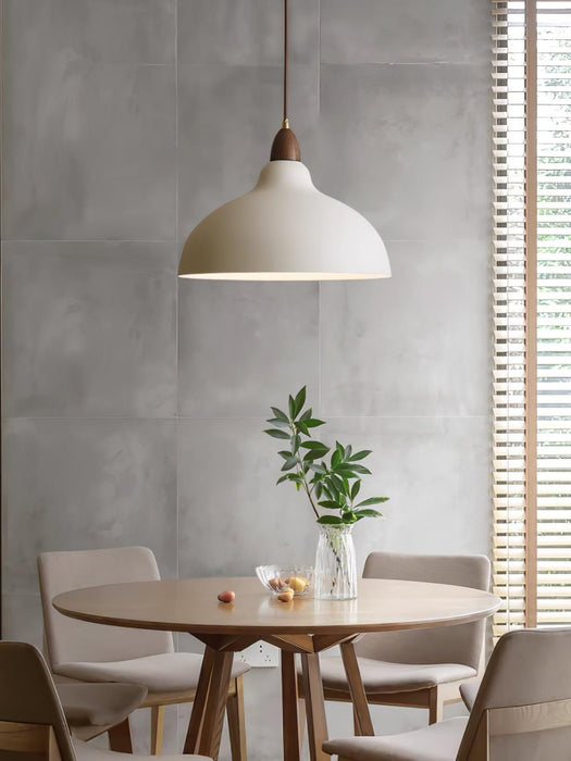 Natural Rustic Pendant Lamp-DWHOME