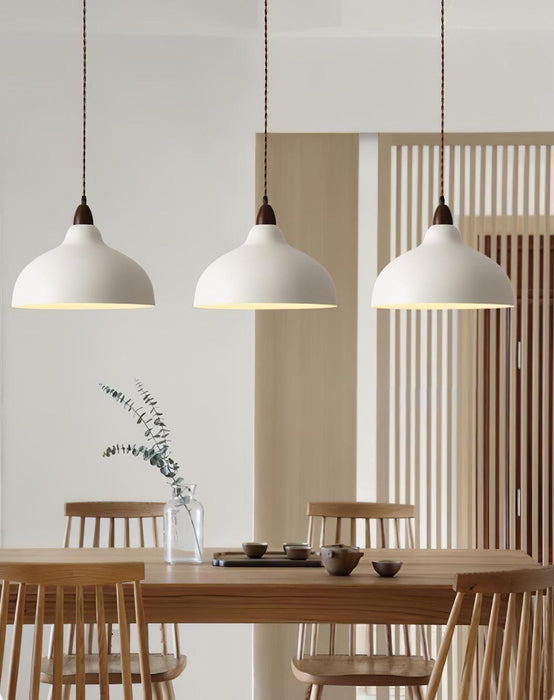 Natural Rustic Pendant Lamp-DWHOME