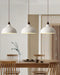 Natural Rustic Pendant Lamp-DWHOME