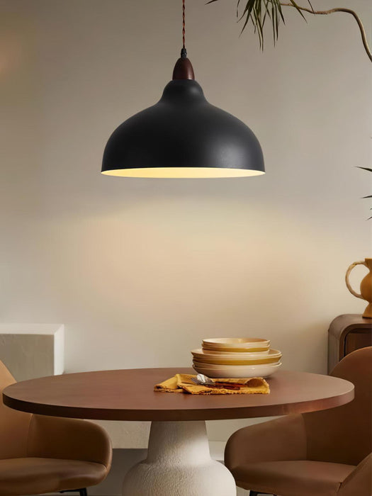 Natural Rustic Pendant Lamp-DWHOME