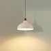 Natural Rustic Pendant Lamp-DWHOME