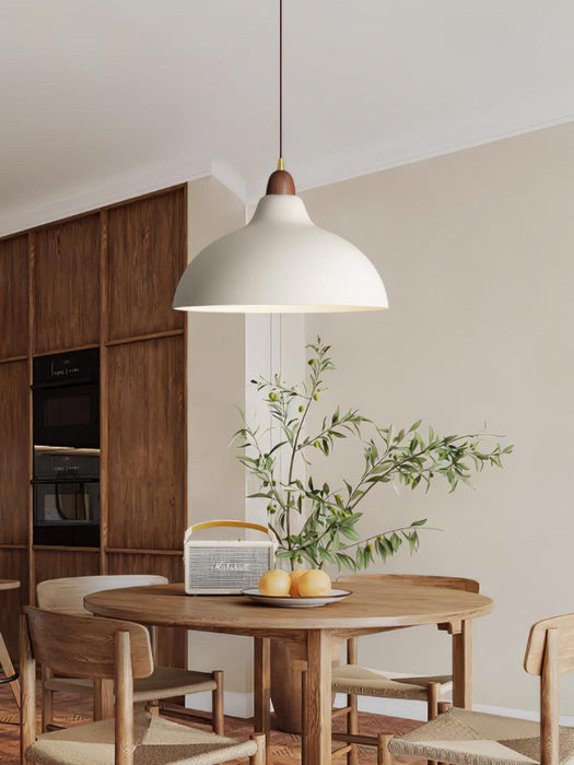 Natural Rustic Pendant Lamp-DWHOME