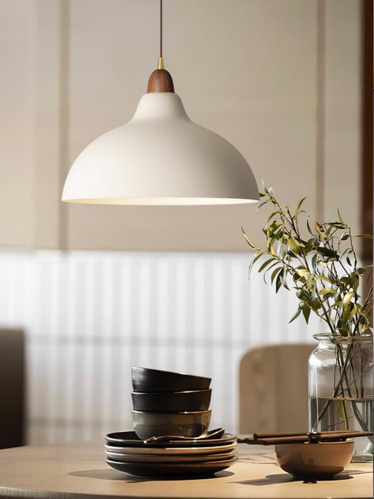 Natural Rustic Pendant Lamp-DWHOME